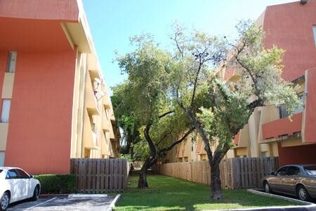 Building Photo - PARADISE ISLES APARTMENTS