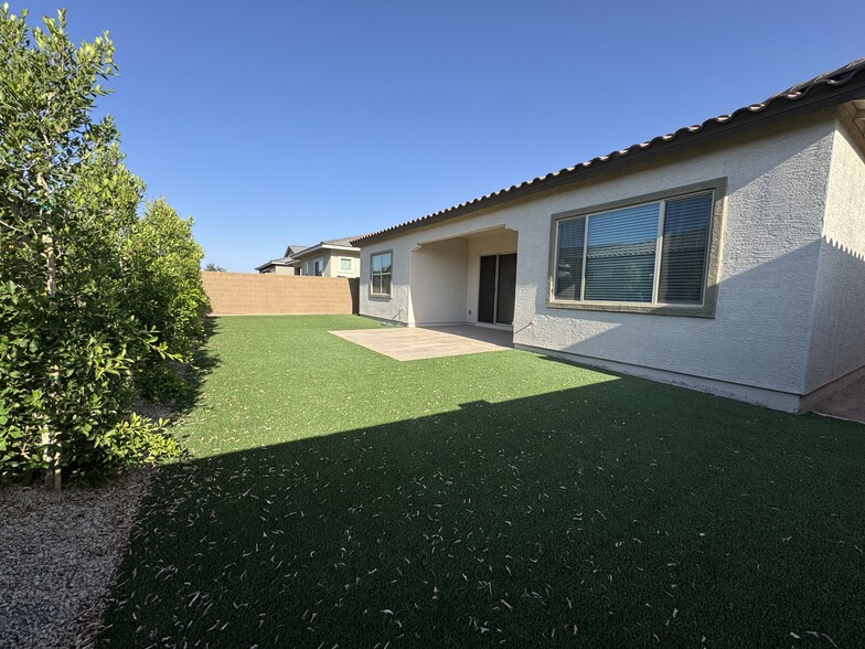 Back yard with turf and ficus trees - 2996 E Birdsong Ave