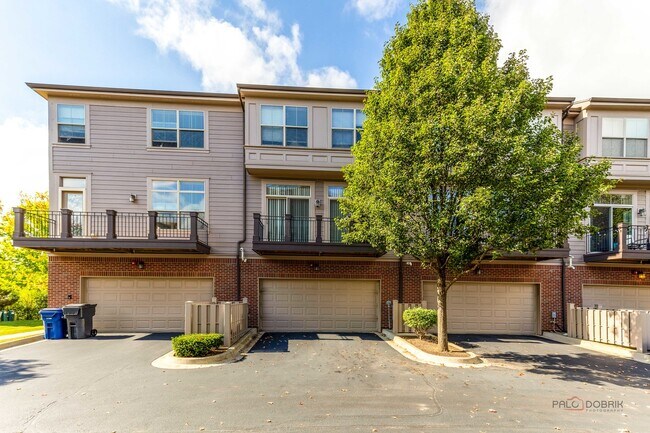 Building Photo - 409 Alpine Springs Dr