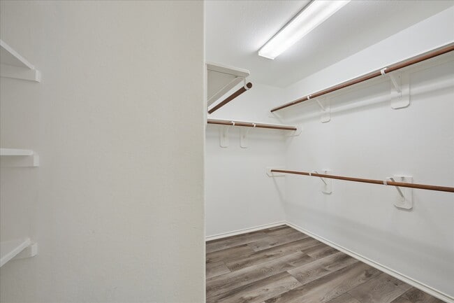 Building Photo - 3129 Sun Terrace Ln