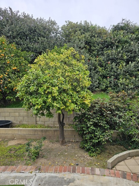 Building Photo - 1632 Canyon Dr