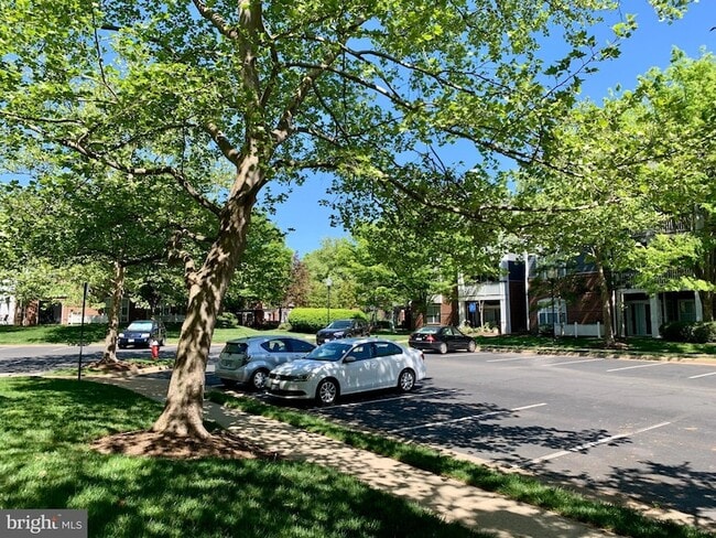 Building Photo - 20301 Beechwood Terrace