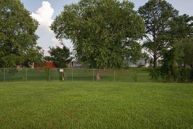 Building Photo - 322 Starling St