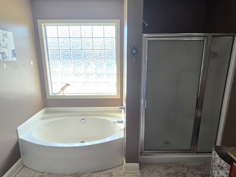 Building Photo - 17001 Piton Way