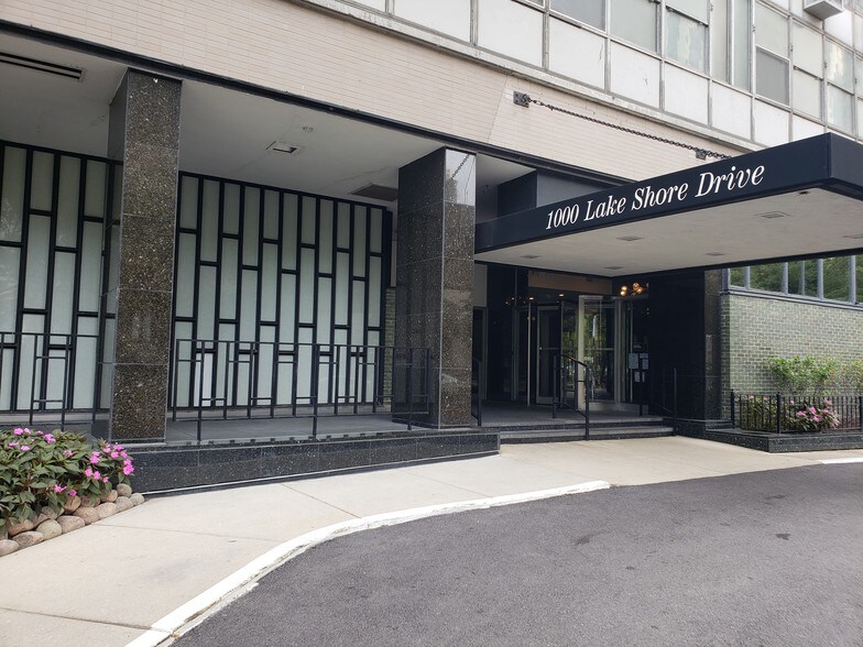Building Photo - 1000 N Lake Shore Dr