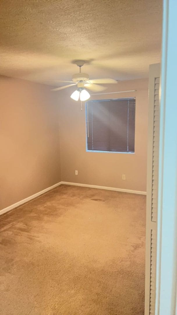 Building Photo - Spacious & Vibrant 3-Bedroom Apartment Nea...