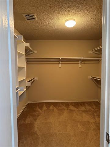 Building Photo - 209 Cloudcroft Dr