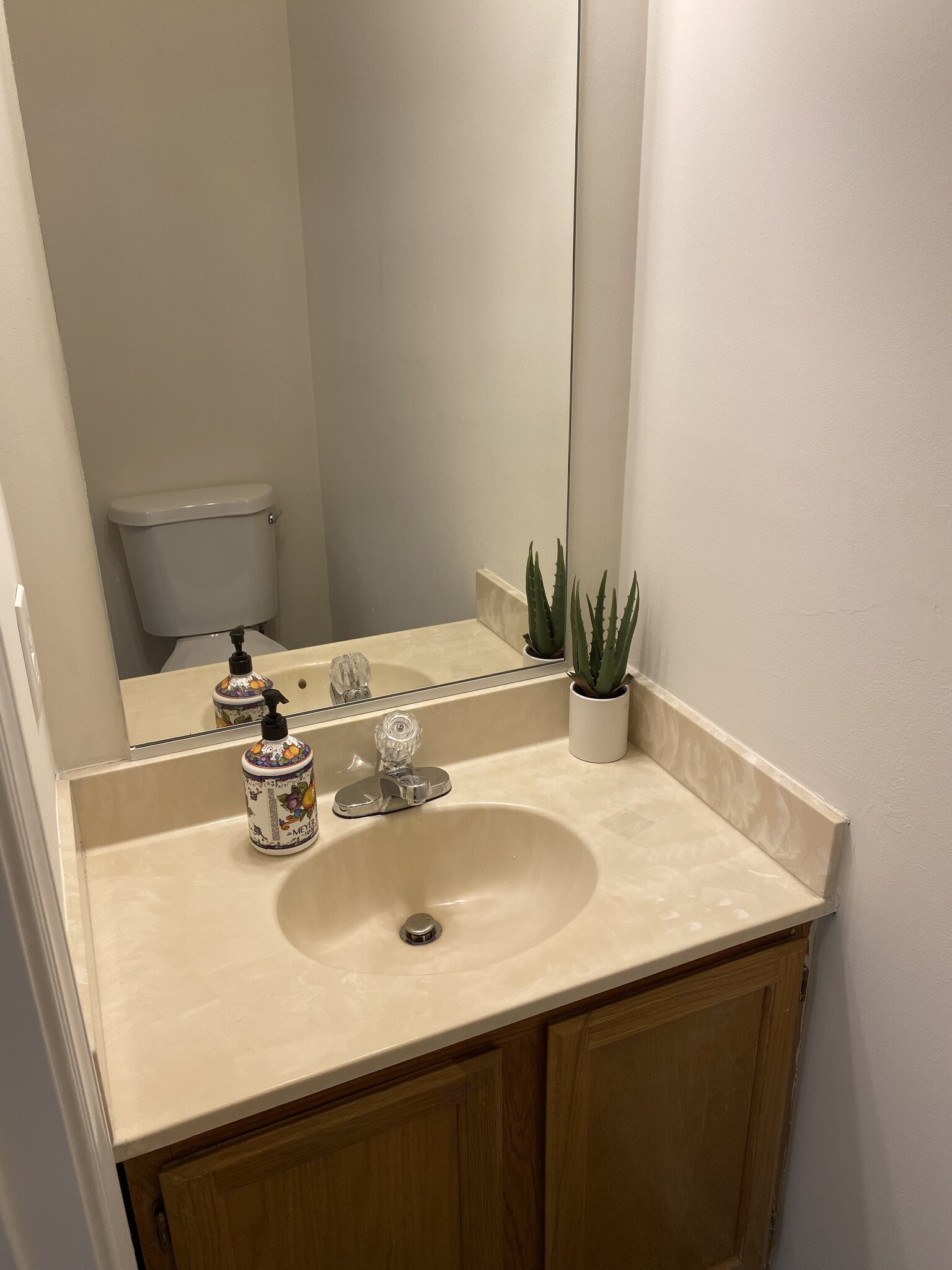 Building Photo - 5032 Merganser Ct