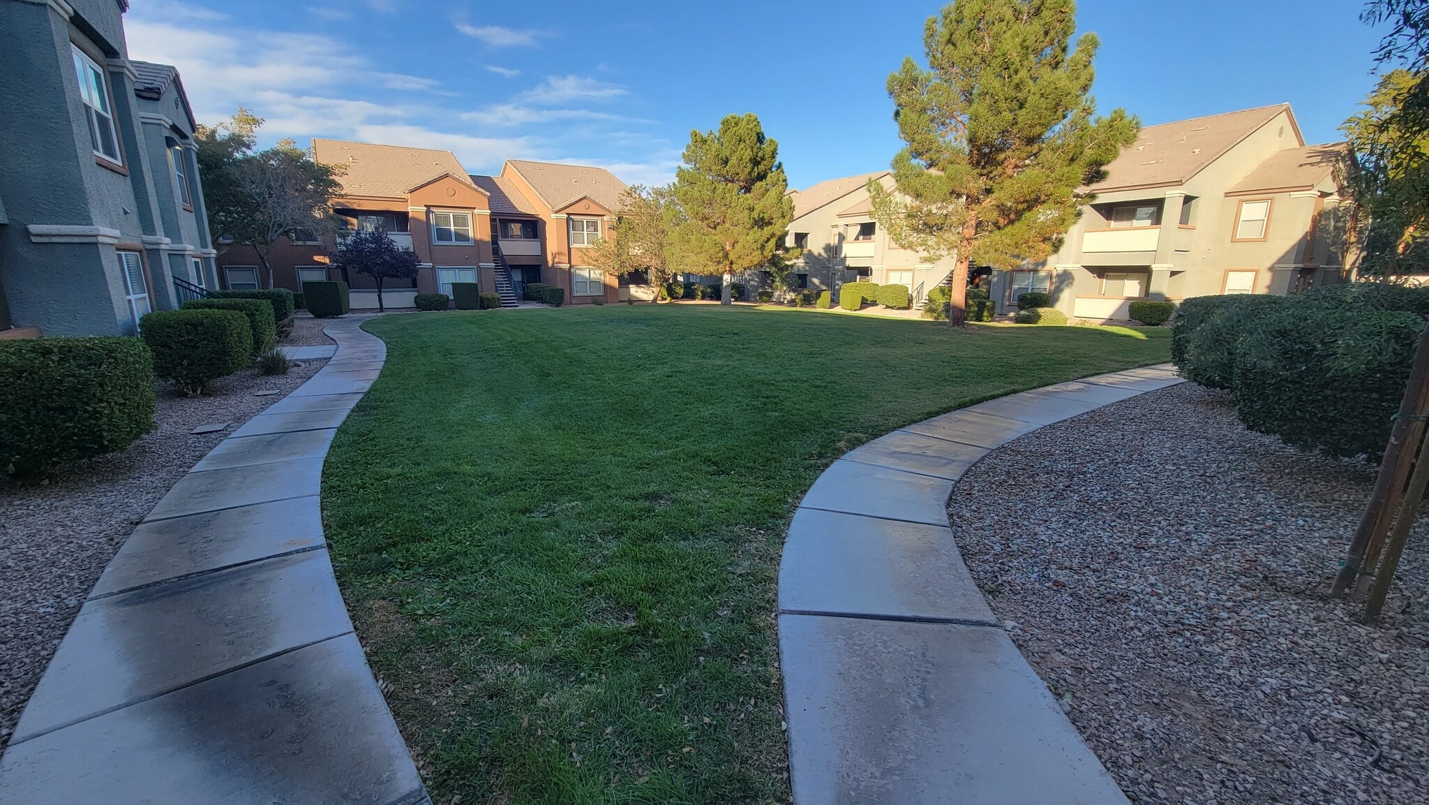 Grassy Area #1 - 555 E Silverado Ranch Blvd