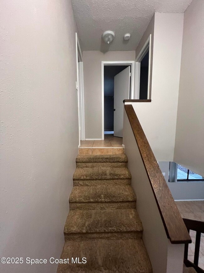 Building Photo - 8716 Hibiscus Ct