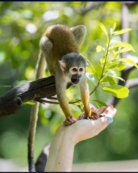 Building Photo - 302 NW 11th Ct