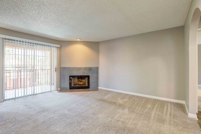 Spectrum Fireplace Channel