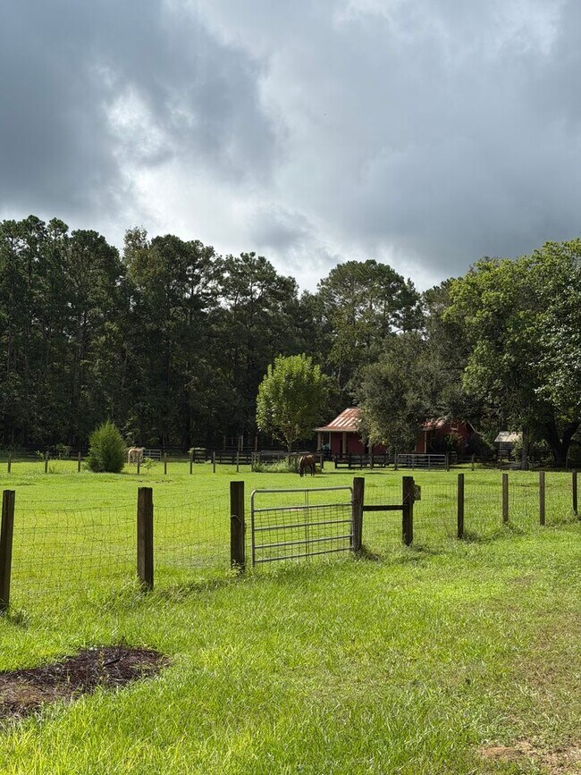Building Photo - 8509 Little Scenic Ln