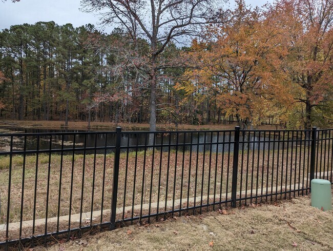 Building Photo - 1838 Porch Swing Way