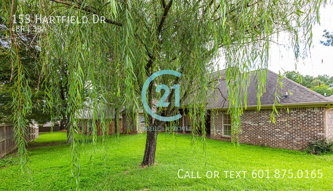 Building Photo - 4 Bed/3 Bath Home in Hartfield