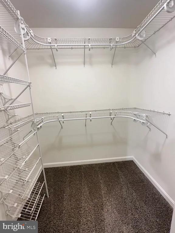 Building Photo - 309 Tall Pines Ct