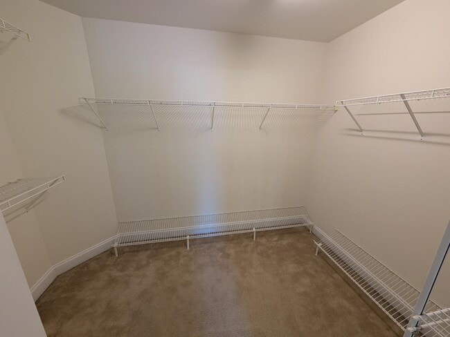 Building Photo - 10429 Madison Park Dr