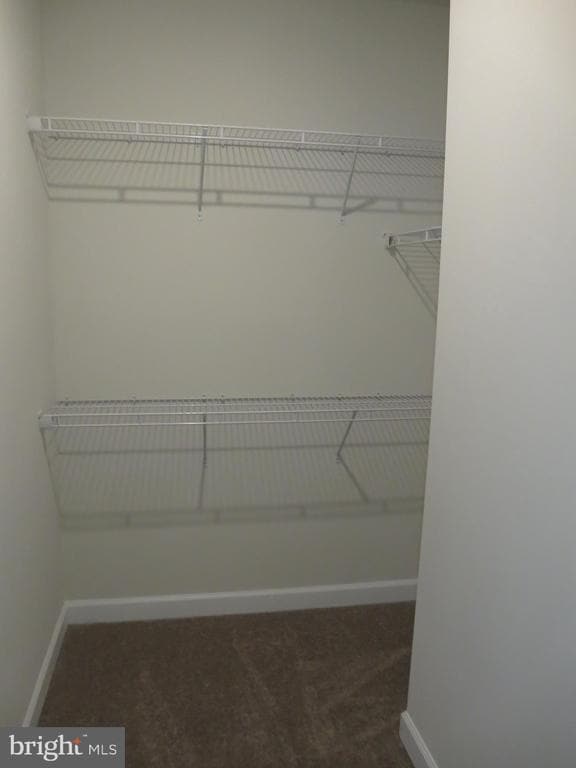 Building Photo - 3062 Wild Blue Indigo Ct