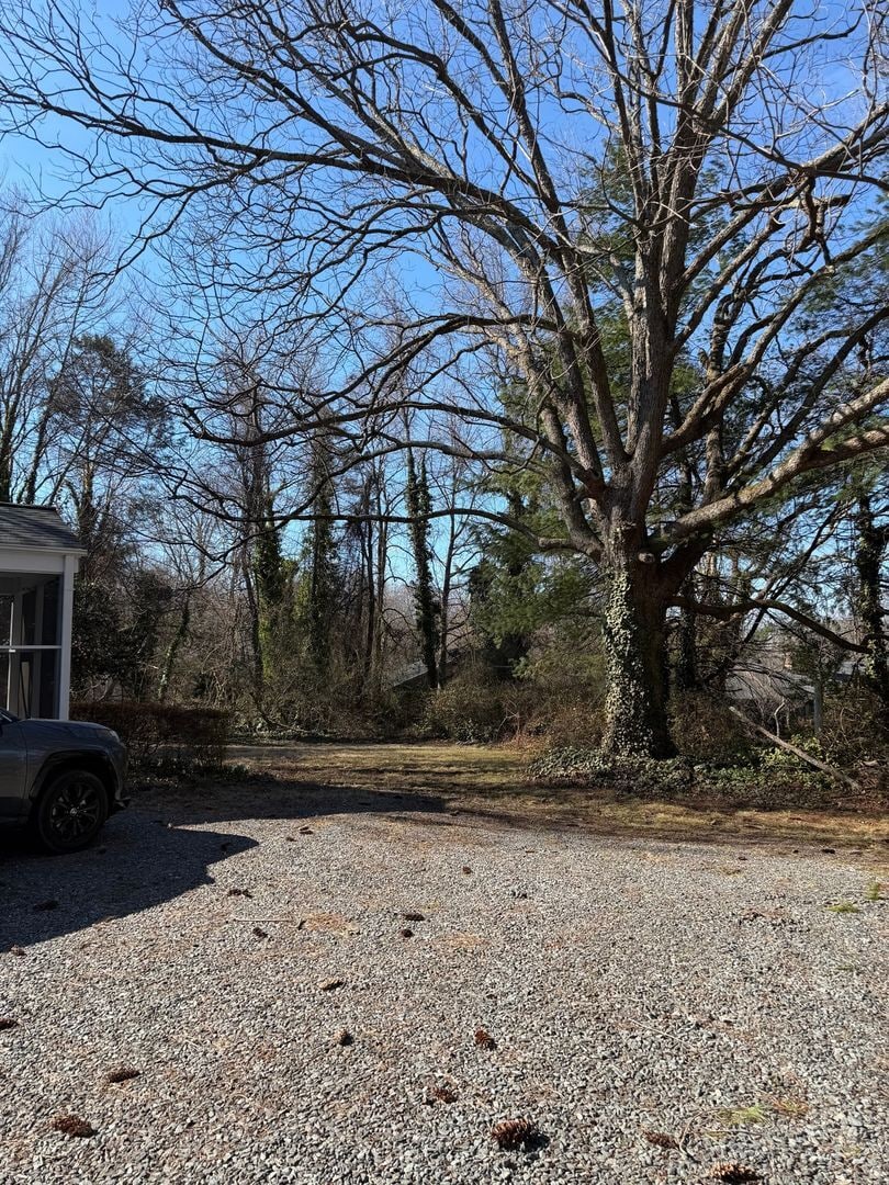 Building Photo - 234 S Peace Haven Rd