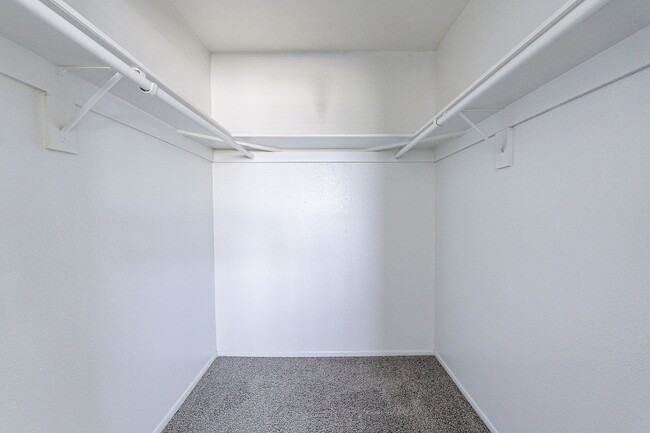 Building Photo - NEW CARPET!