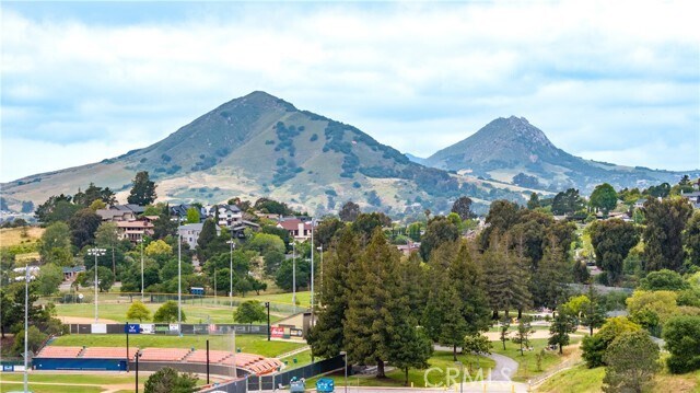 Building Photo - 1023 Southwood Dr