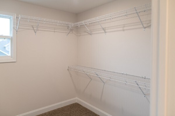 Building Photo - 2632 Rafiki Dr