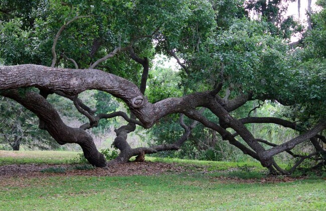 Building Photo - 4302 Brigadoon Cir