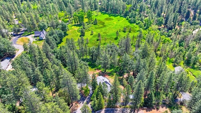 Building Photo - FOR RENT: Cozy Foresthill 3 bedroom 2 bath.