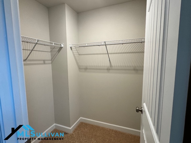 Building Photo - 109 White Burley Ct