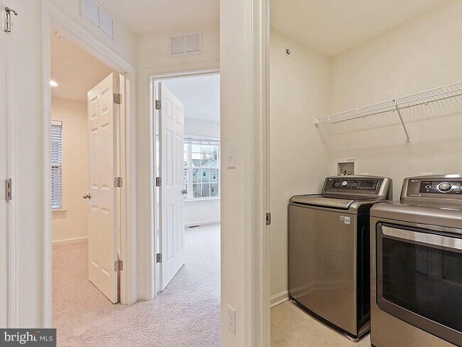 Building Photo - 523 Chestnut Ct