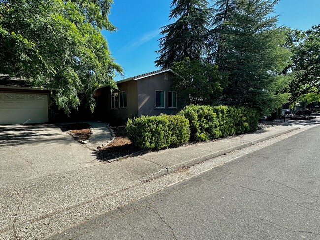 Primary Photo - Spacious 1 Bedroom with RIVER TRAIL ACCESS!!
