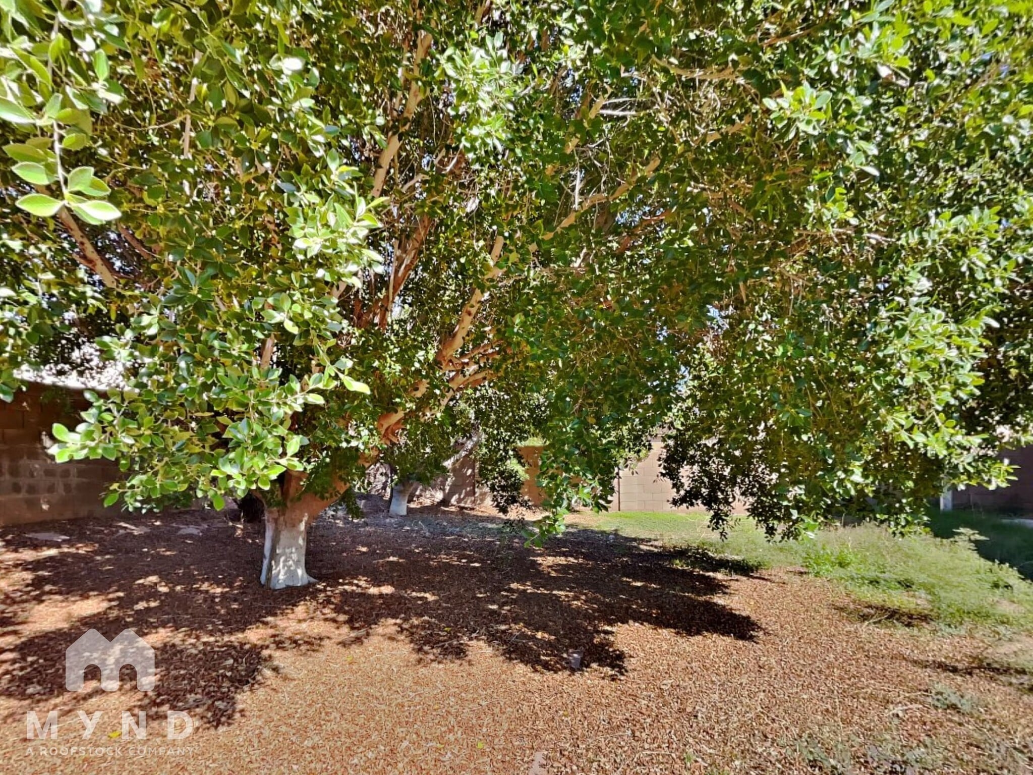 Building Photo - 17208 N Chance Dr