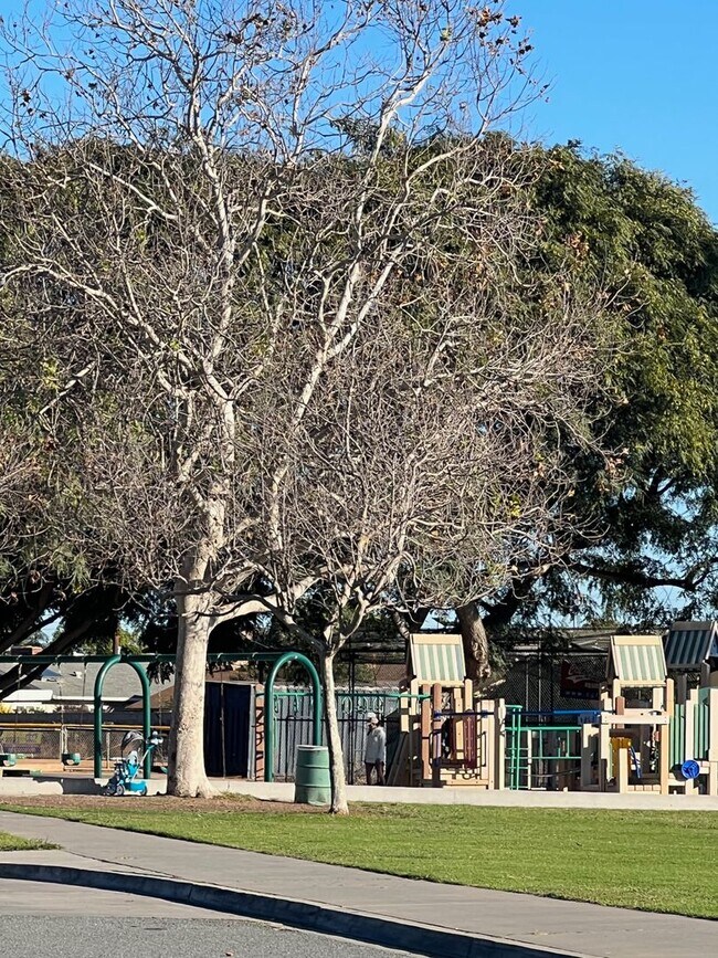 Building Photo - Rare Find!!!  Incredible 4  bedroom / 2 bath updated house in beautiful Clairemont!!!