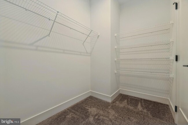 Building Photo - 2107 Donatello Dr