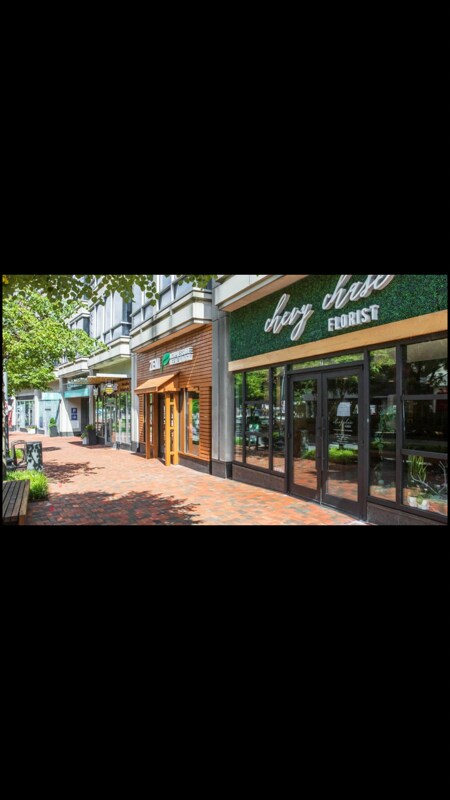 Building Photo - 4515 Willard Ave