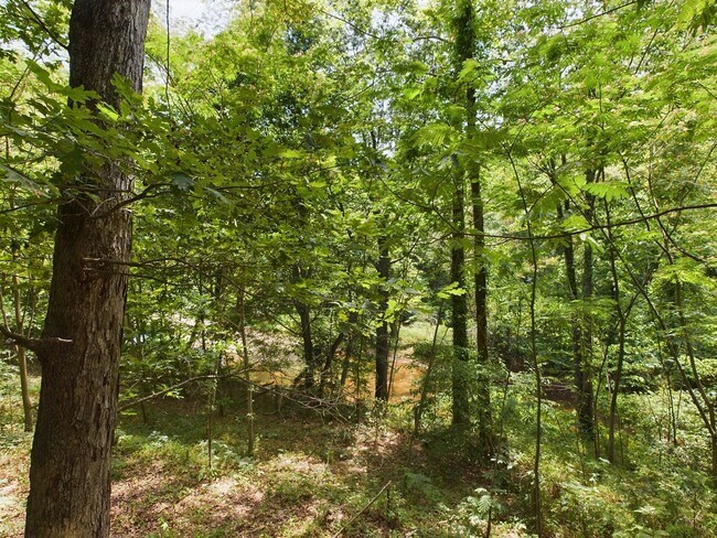 Building Photo - 5301 Bemiss Ct