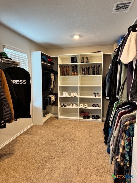 Building Photo - 2946 Wolfcreek