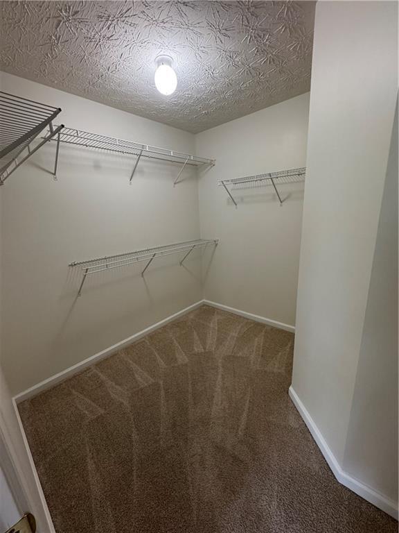 Building Photo - 3609 Beacon Ridge