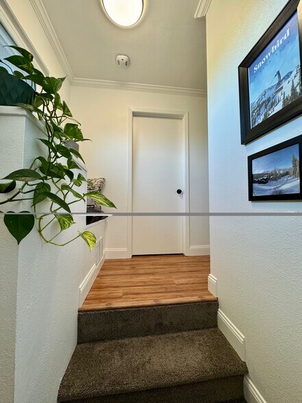 Building Photo - 540 S Forest St