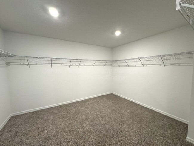 Building Photo - 2958 Sunstar Dr