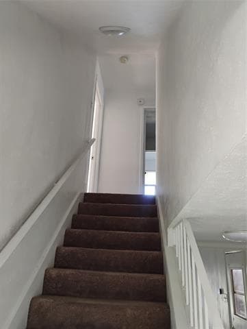 Building Photo - 2789 Rollingdale Ln