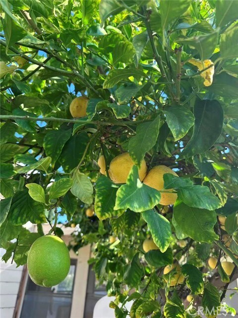 Building Photo - 1126 Highland Oaks Dr