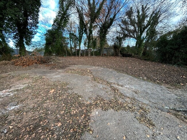 Building Photo - Renovated 3/1 House in South Rome- $1,100