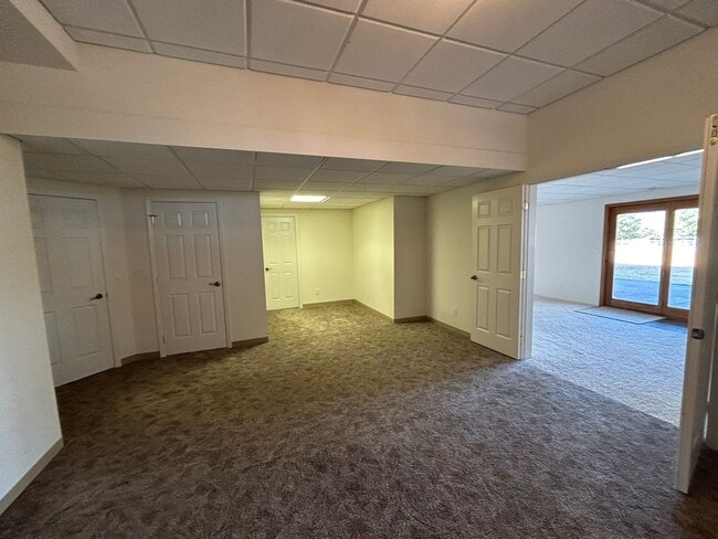 Building Photo - Spacious Daylight Apartment in Hamilton