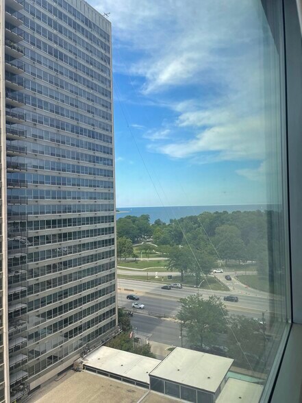 Building Photo - 3550 N Lake Shore Dr