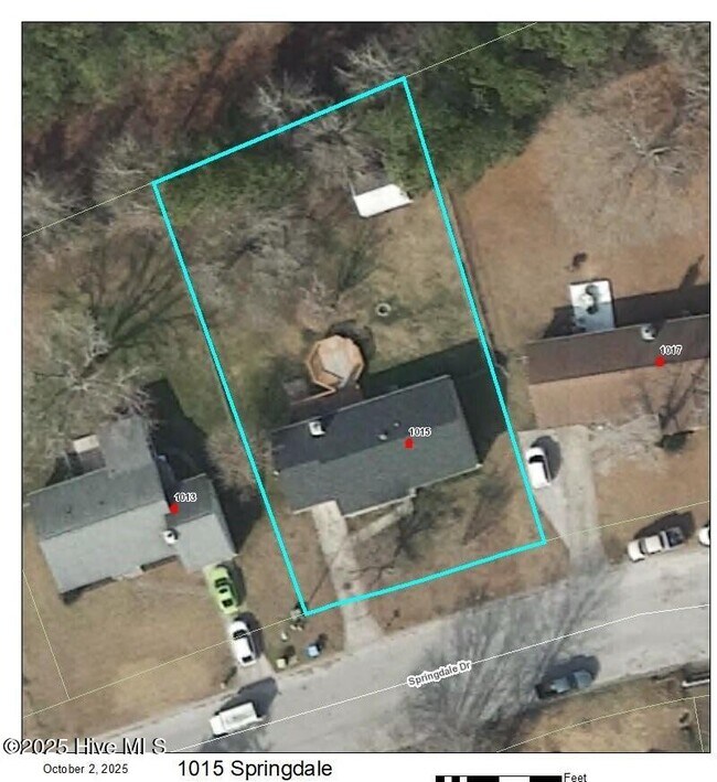 Building Photo - 1015 Springdale Dr