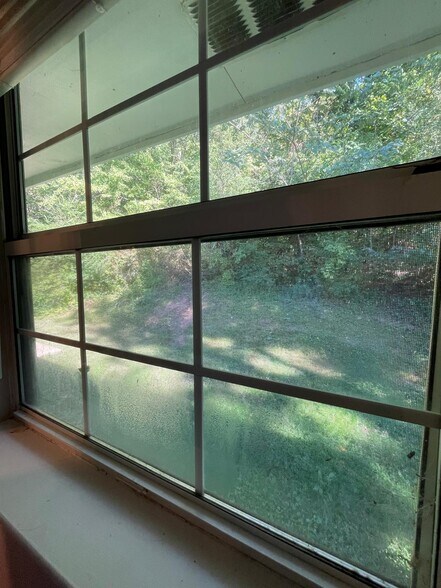 Master Bedroom - Window (back yard view) - 1936 Ashmore Ave