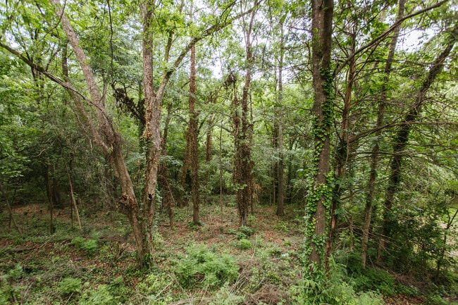 Building Photo - 288 Fourth Street