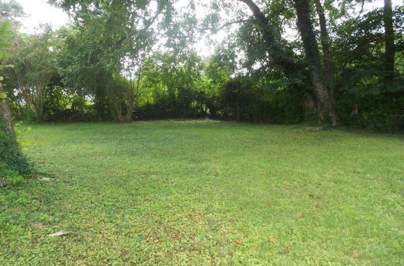 Building Photo - 1809 Doron Ln