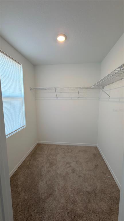 Building Photo - 17670 Japonica Bloom Dr